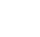 Seciurity icon